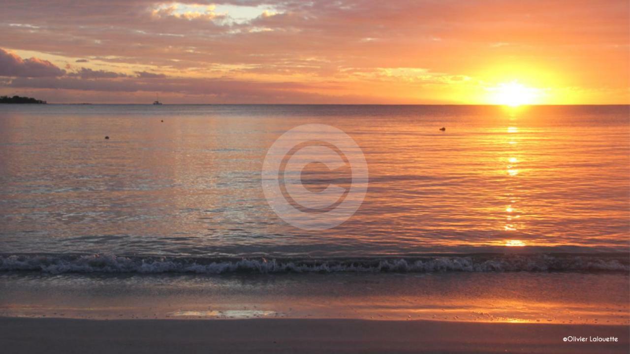 Fantastic Spacious Beachfront Villavacances Grand Baie Exterior photo